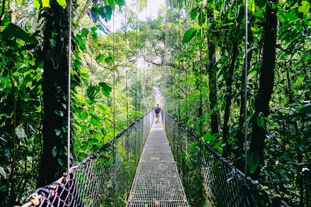 Dónde viajar en verano: Costa Rica