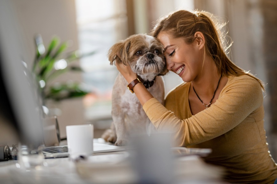 Alarmas Pet Friendly para Hogares con Mascotas