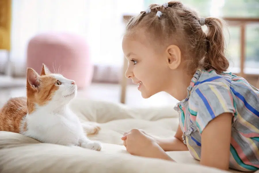 Evita falsas alarmas provocadas por mascotas